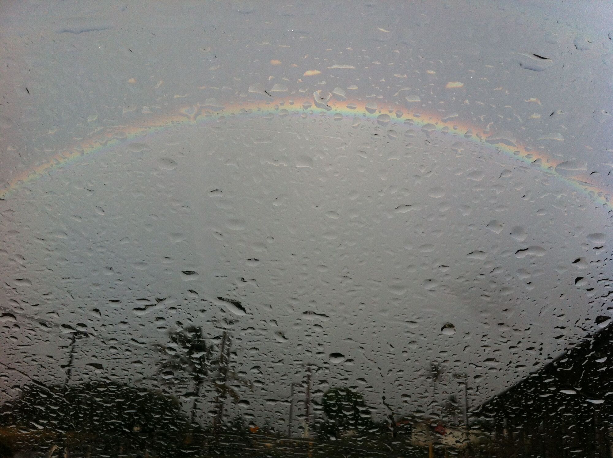 Rainbow arcing across a rain-soaked windshield, palm trees below